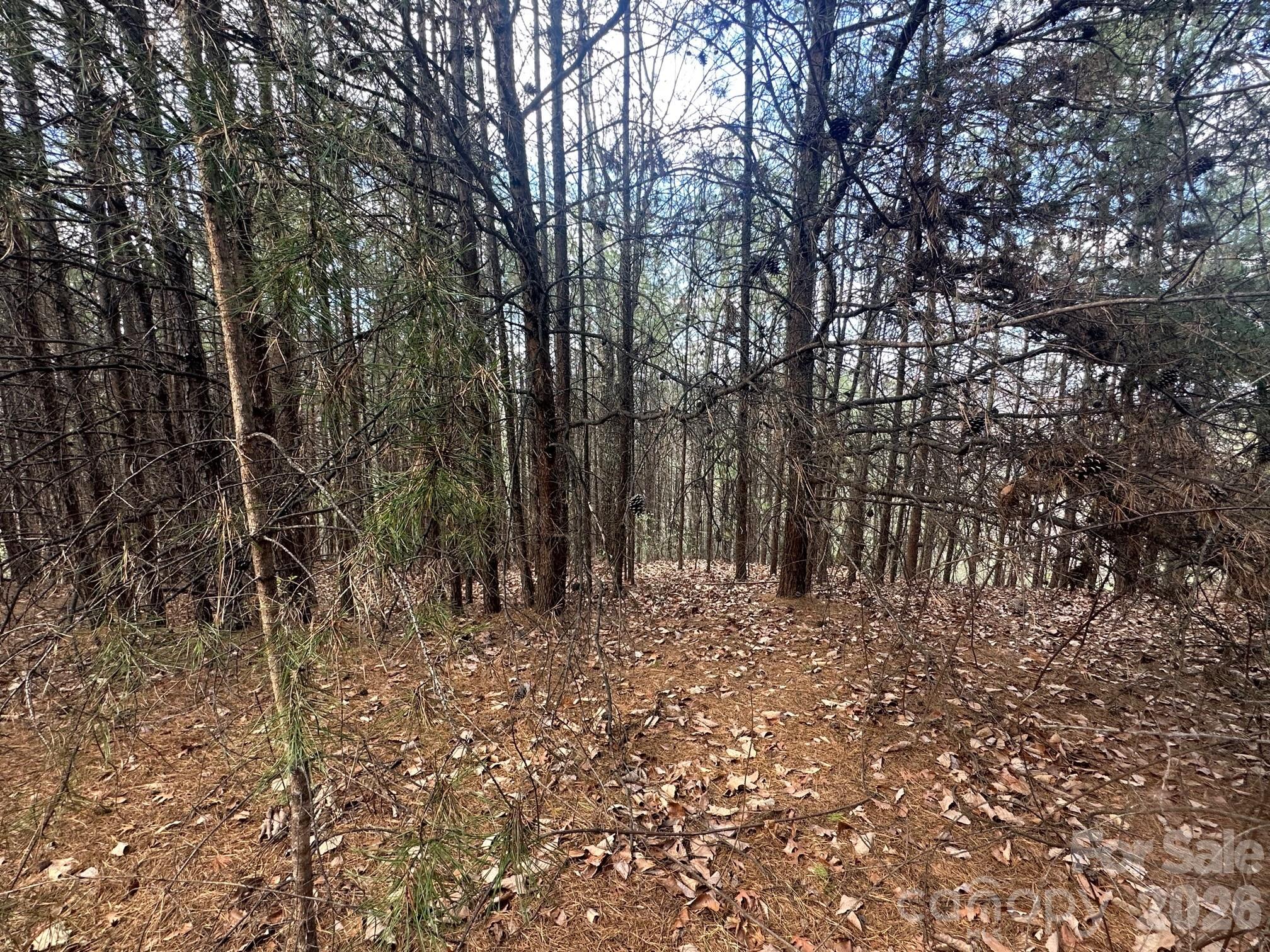 0000 Boulder Ridge Lake Lure NC 28746