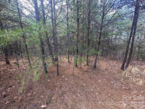 0000 Boulder Ridge Lake Lure NC 28746