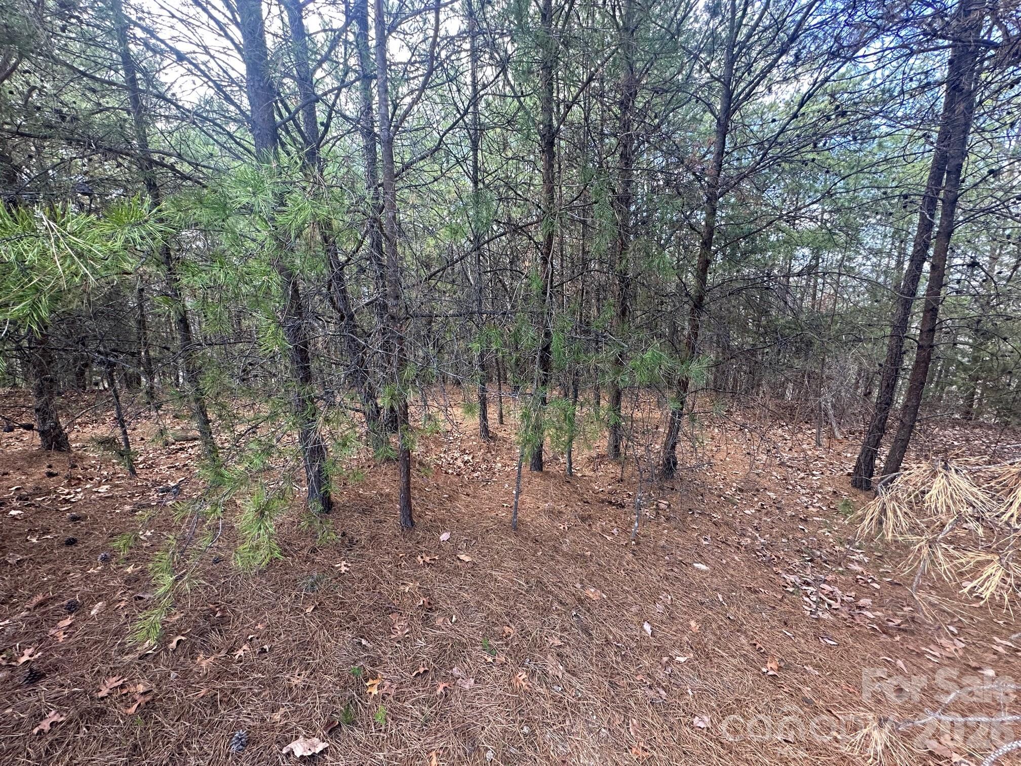 0000 Boulder Ridge Lake Lure NC 28746