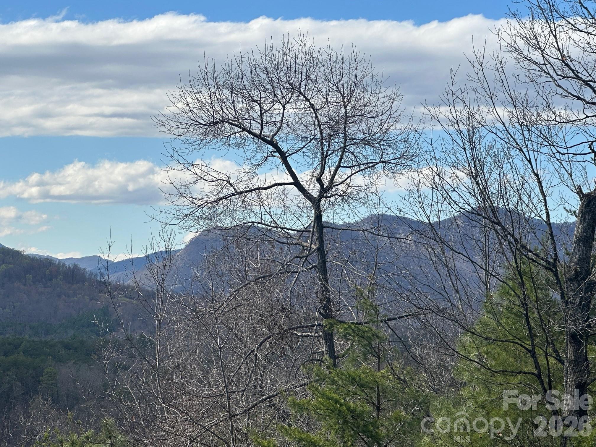 0000 Boulder Ridge Lake Lure NC 28746