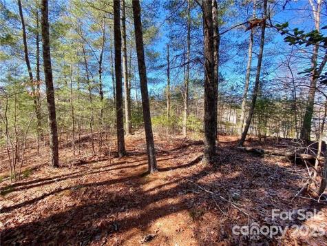 903 Harborside Drive Nebo NC 28761