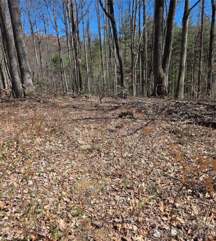 00 Altamont Way Newland NC 28657