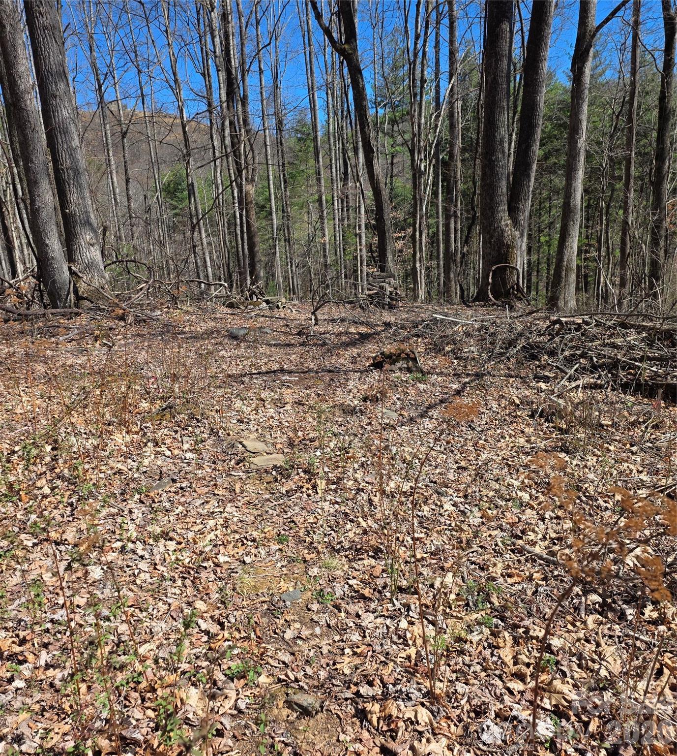 00 Altamont Way Newland NC 28657