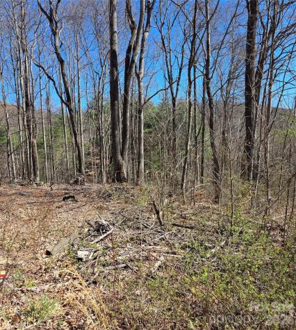 00 Altamont Way Newland NC 28657