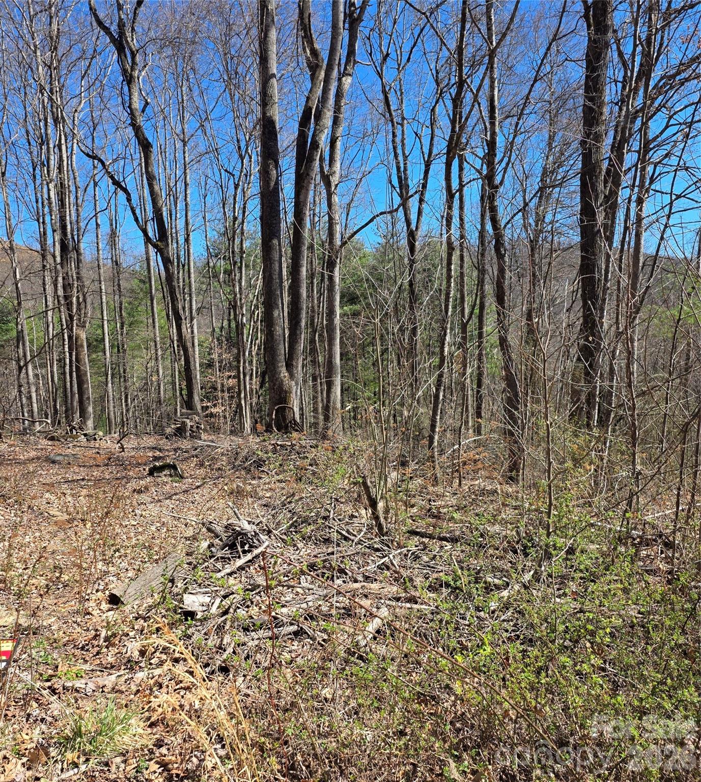 00 Altamont Way Newland NC 28657