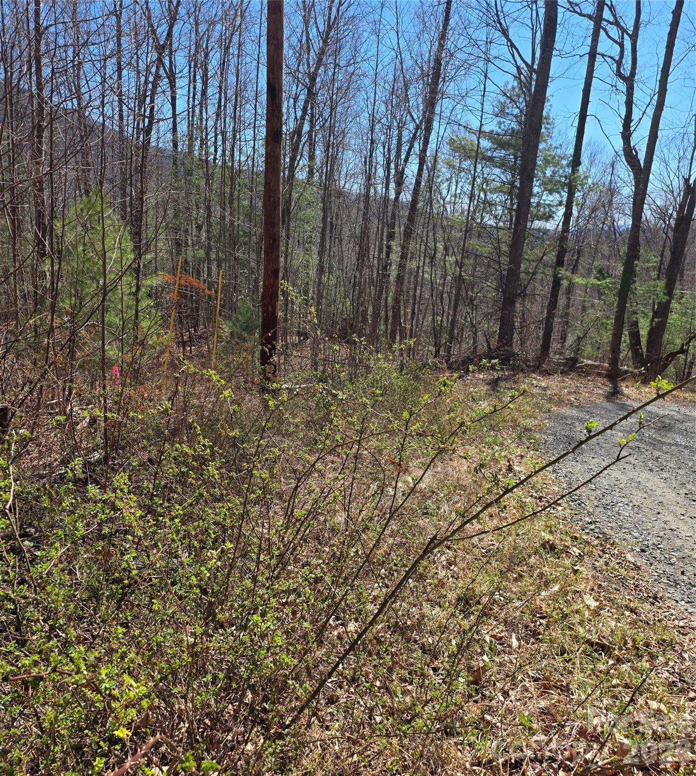 00 Altamont Way Newland NC 28657