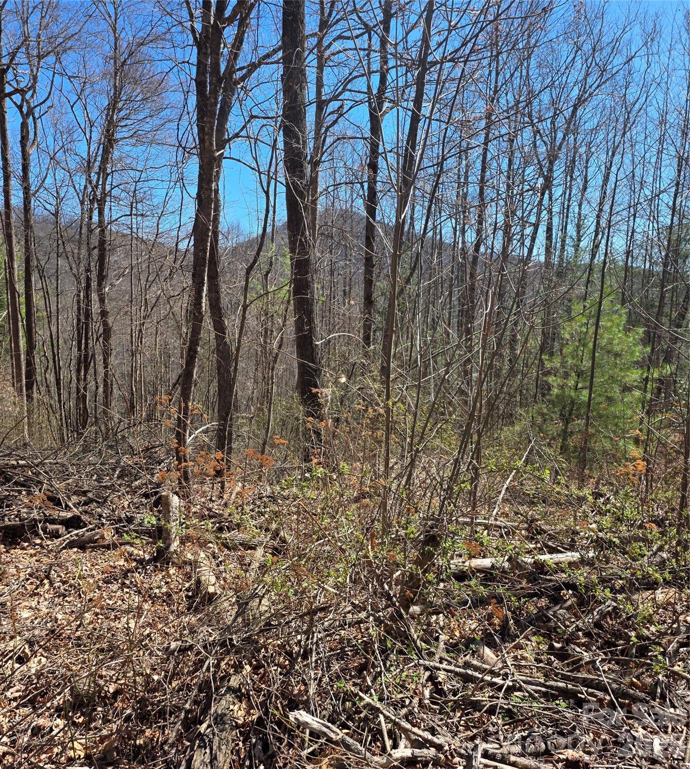 00 Altamont Way Newland NC 28657