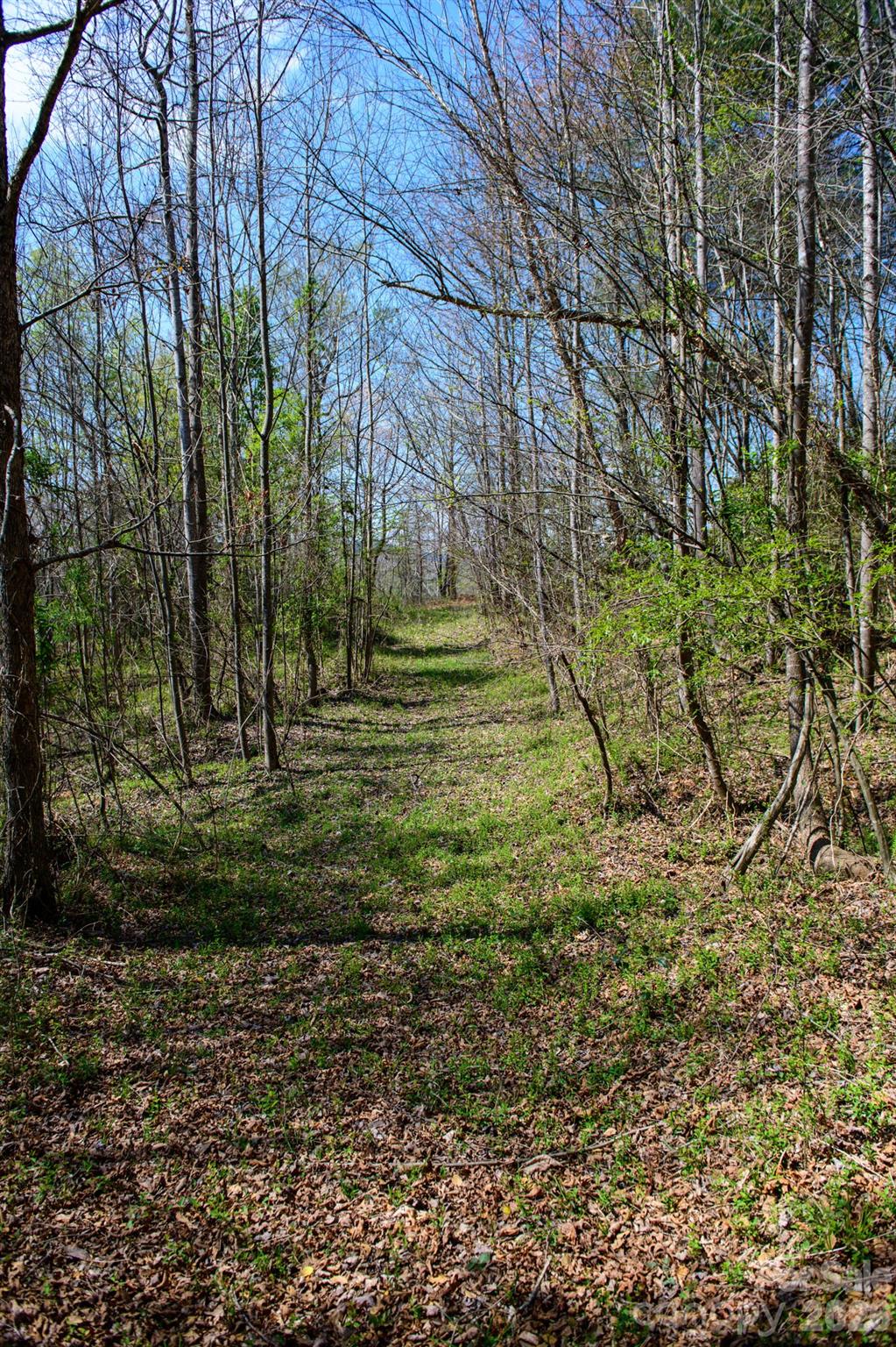 0000 Jimmy Fox Lane Taylorsville NC 28681