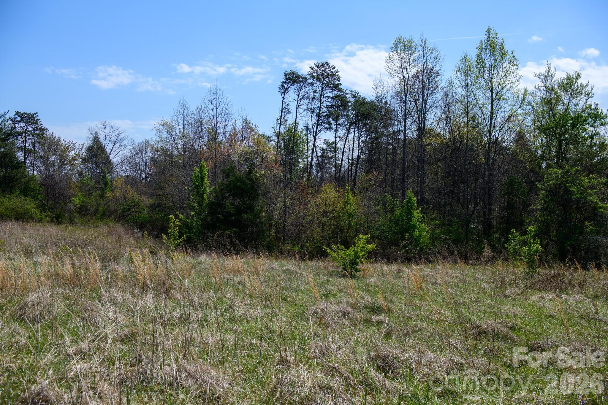 0000 Jimmy Fox Lane Taylorsville NC 28681