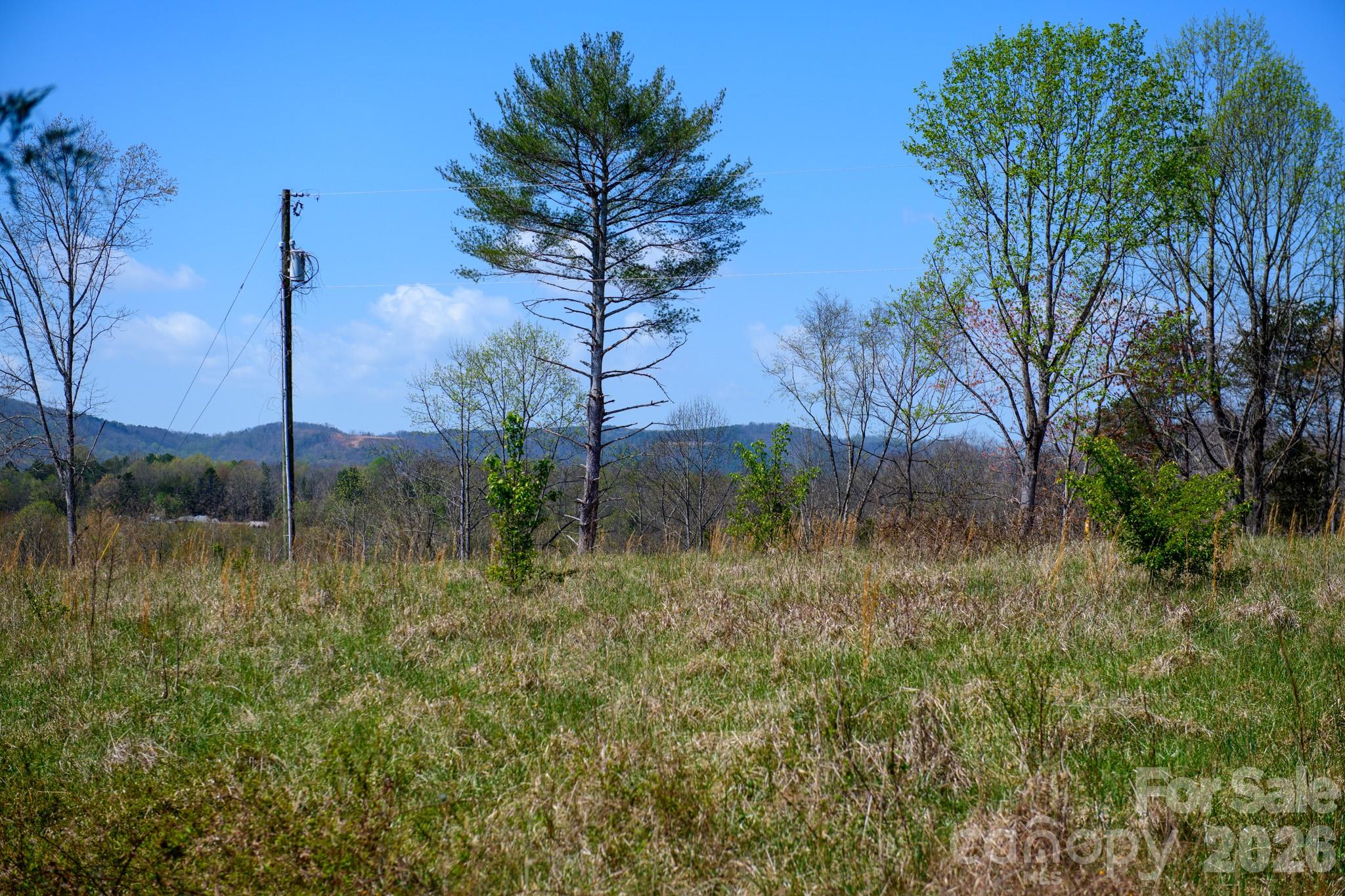 0000 Jimmy Fox Lane Taylorsville NC 28681