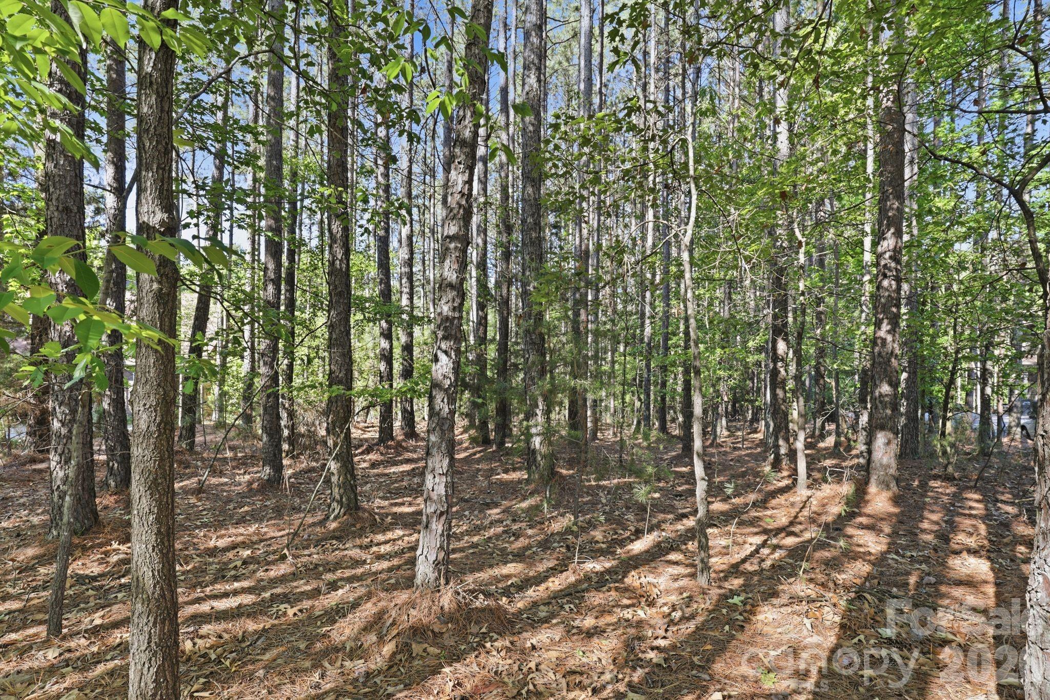 158 Blue Ridge Trail Mooresville NC 28117