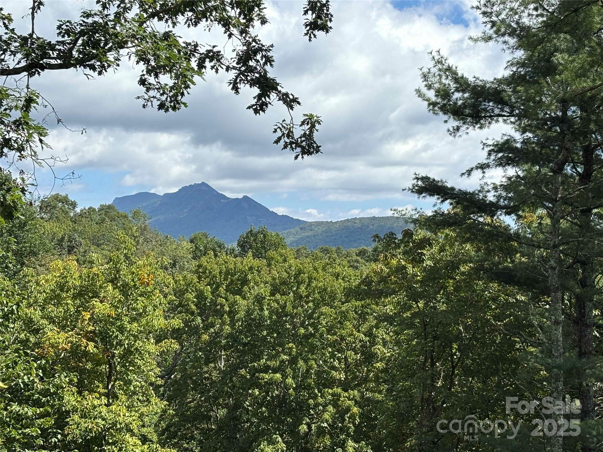Tbd Linhigh Drive Newland NC 28657