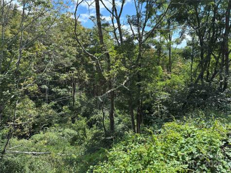 Tbd Linhigh Drive Newland NC 28657