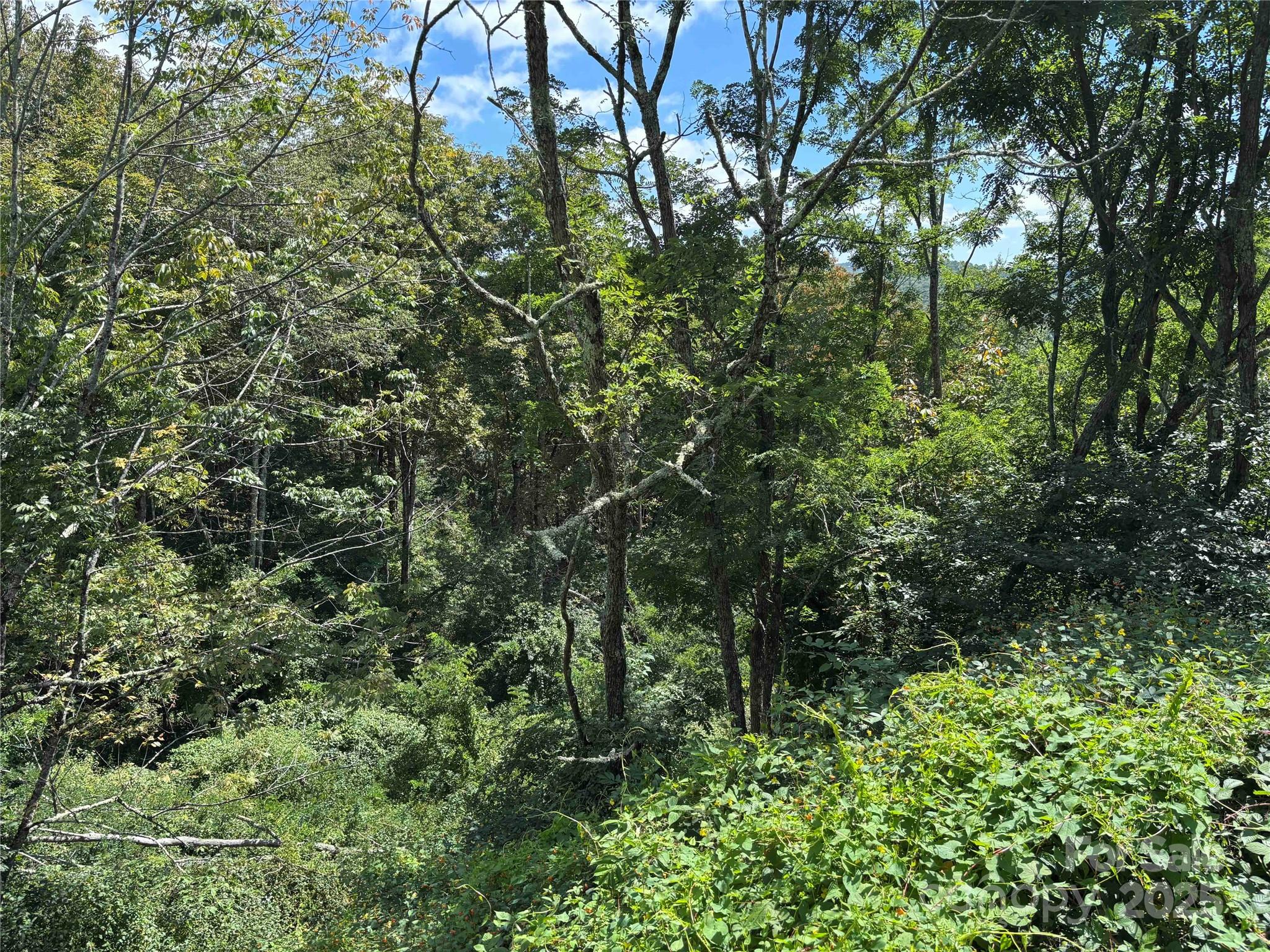 Tbd Linhigh Drive Newland NC 28657