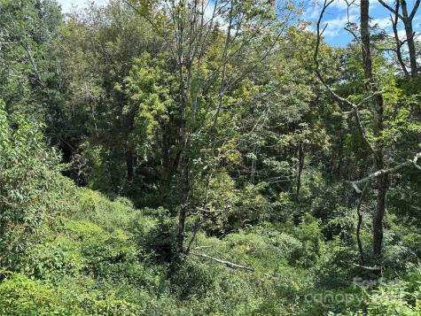 Tbd Linhigh Drive Newland NC 28657