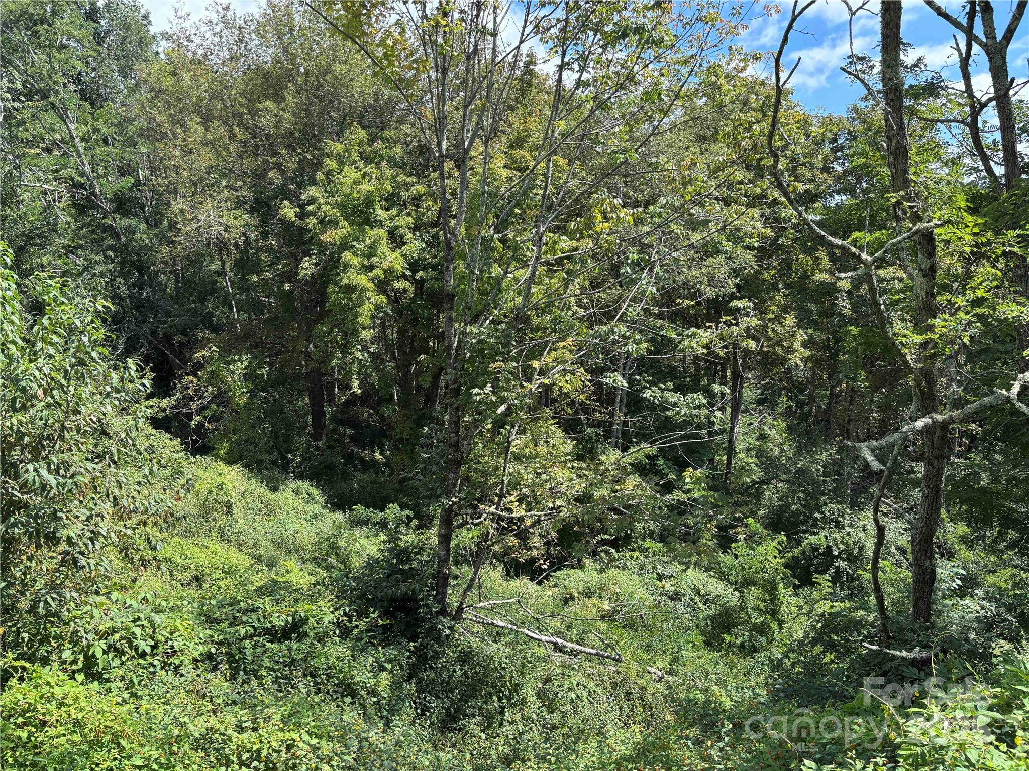 Tbd Linhigh Drive Newland NC 28657