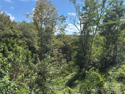 Tbd Linhigh Drive Newland NC 28657