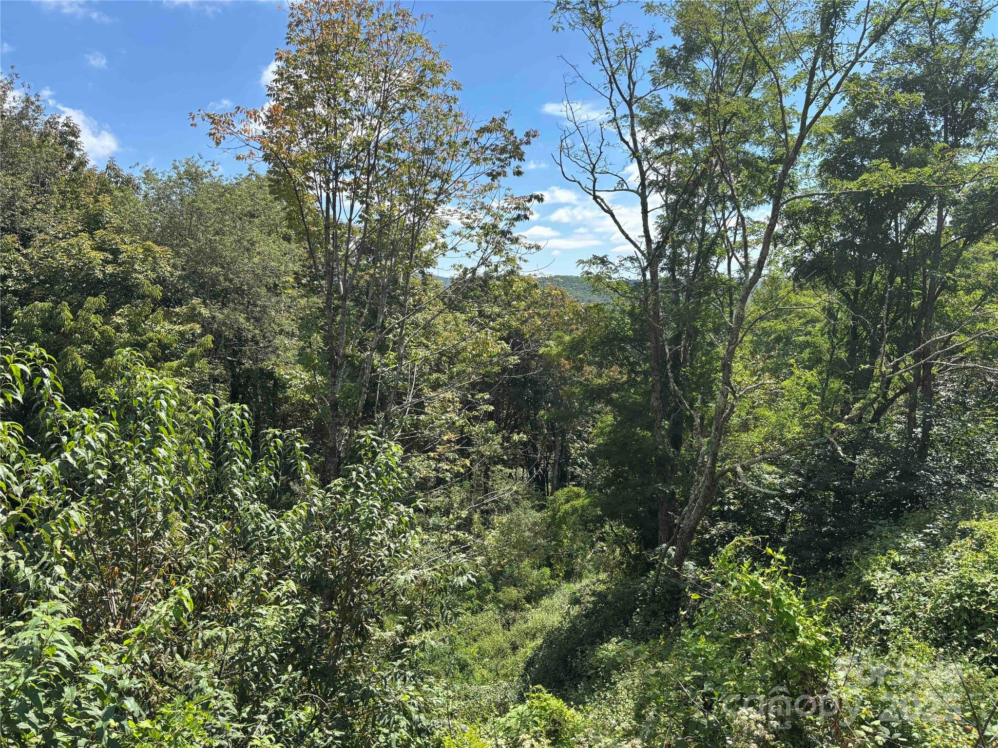 Tbd Linhigh Drive Newland NC 28657