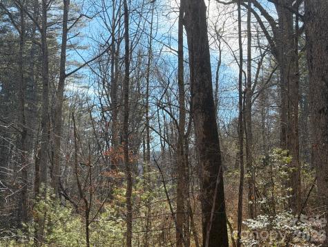 Lot 52 High Hemlock Trail Brevard NC 28712