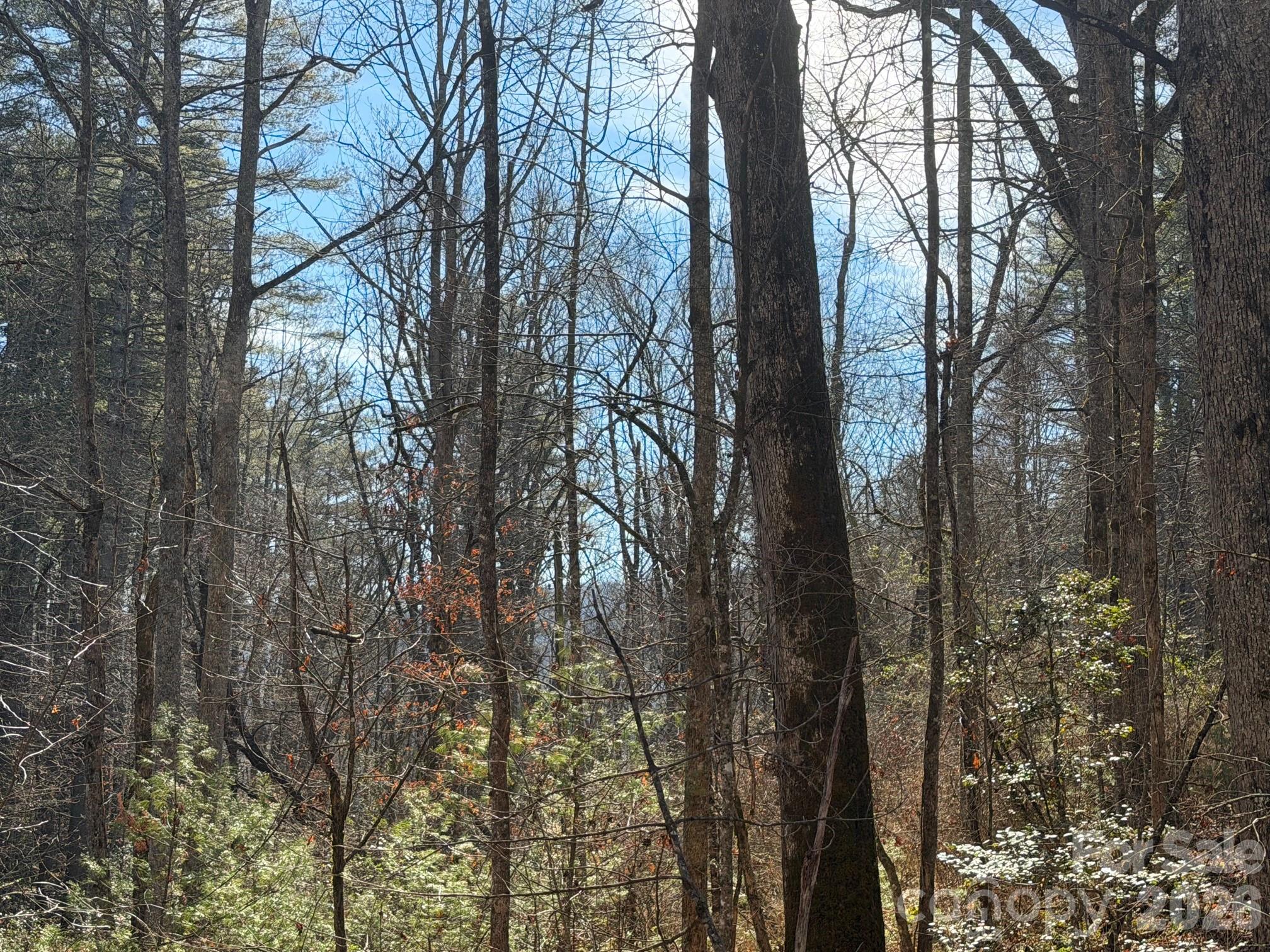 Lot 52 High Hemlock Trail Brevard NC 28712