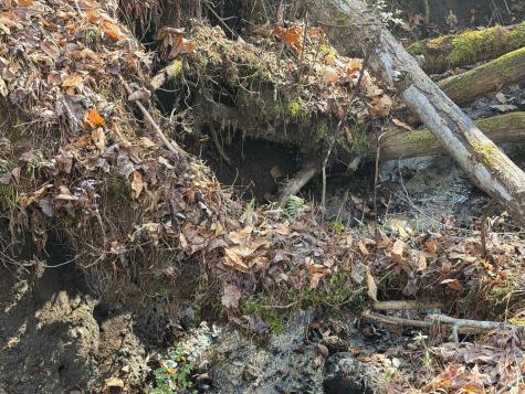 Lot 52 High Hemlock Trail Brevard NC 28712