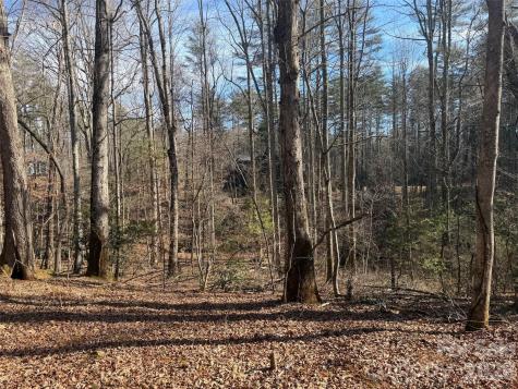 Lot 52 High Hemlock Trail Brevard NC 28712