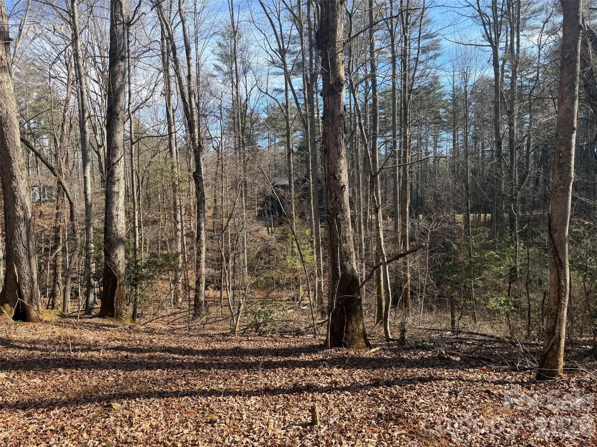 Lot 52 High Hemlock Trail Brevard NC 28712