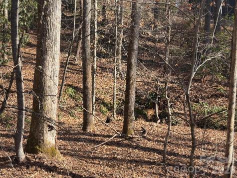 Lot 52 High Hemlock Trail Brevard NC 28712