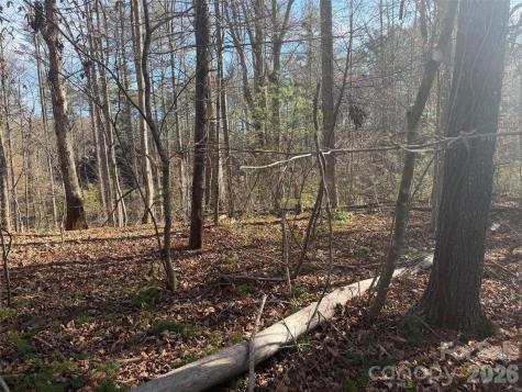 Lot 52 High Hemlock Trail Brevard NC 28712