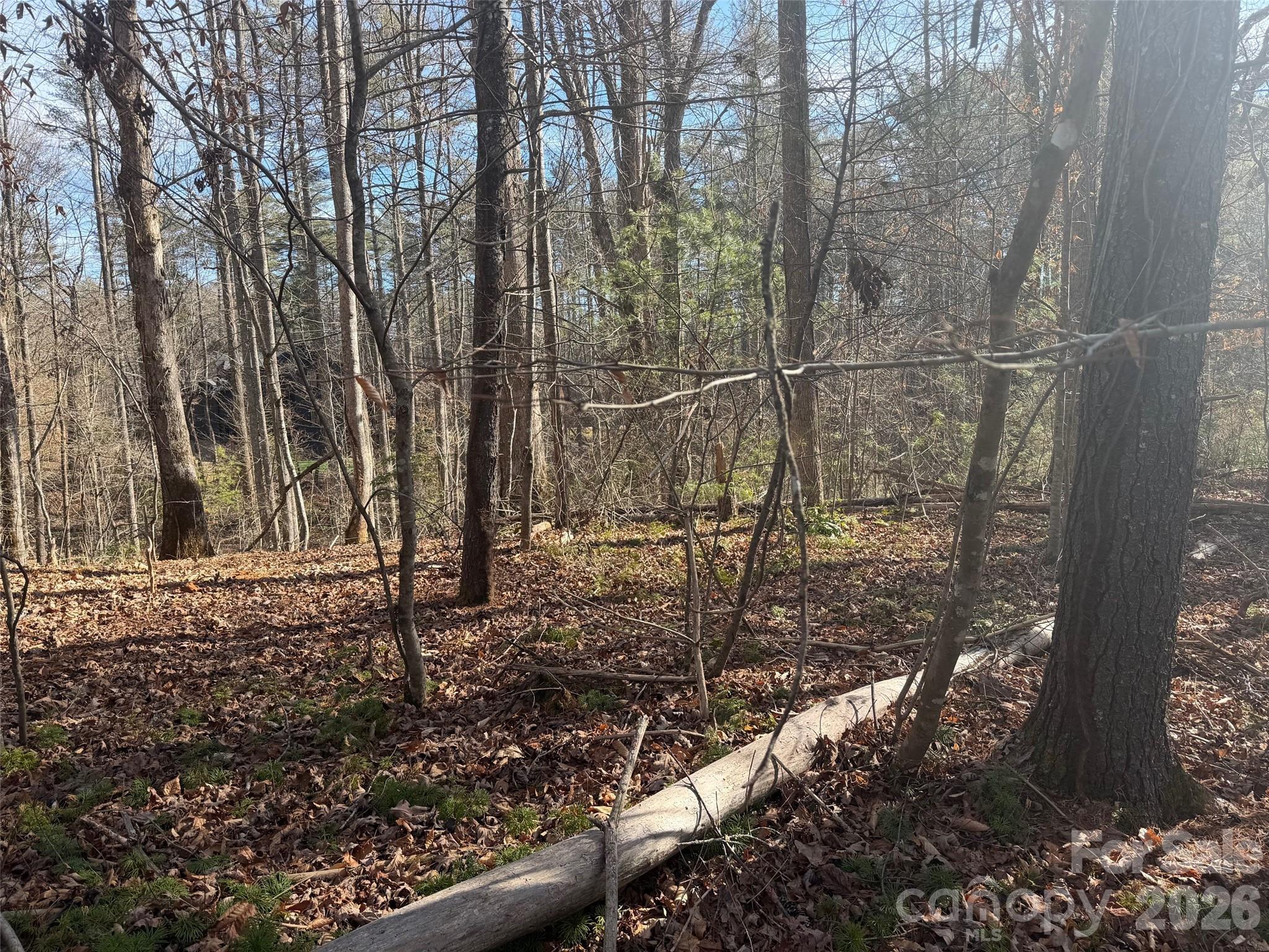 Lot 52 High Hemlock Trail Brevard NC 28712