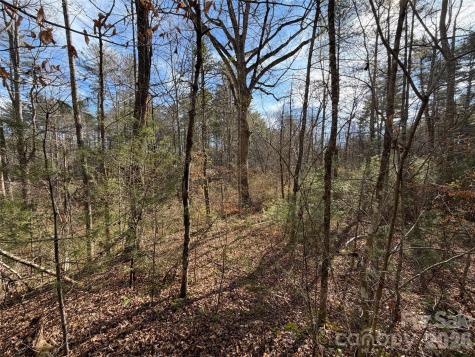 Lot 52 High Hemlock Trail Brevard NC 28712