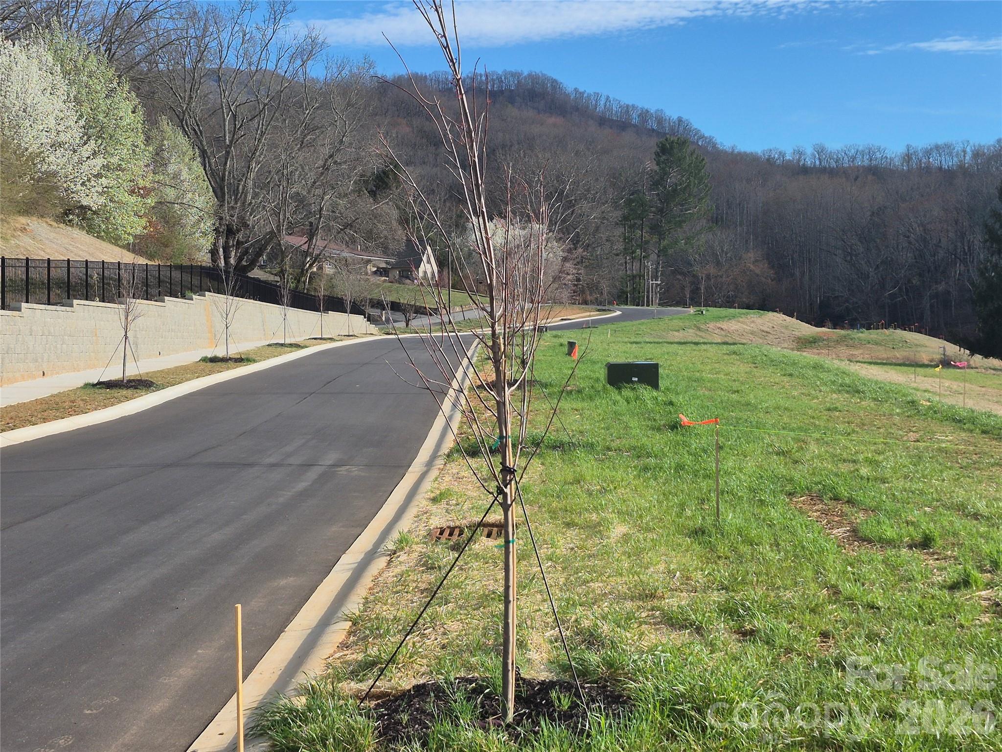 30 Farmer Branch Lane Waynesville NC 28786
