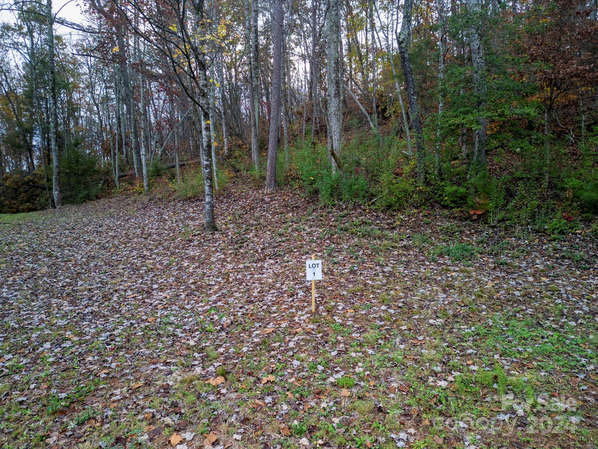 Old Fort NC 28762