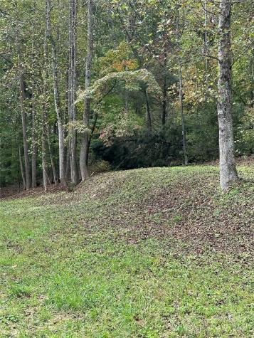 Old Fort NC 28762