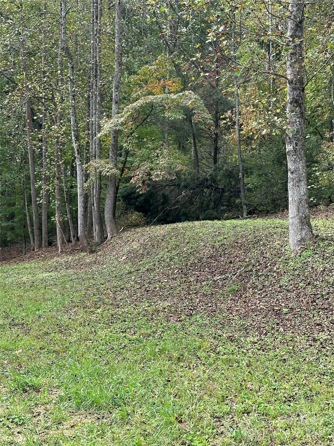 Old Fort NC 28762