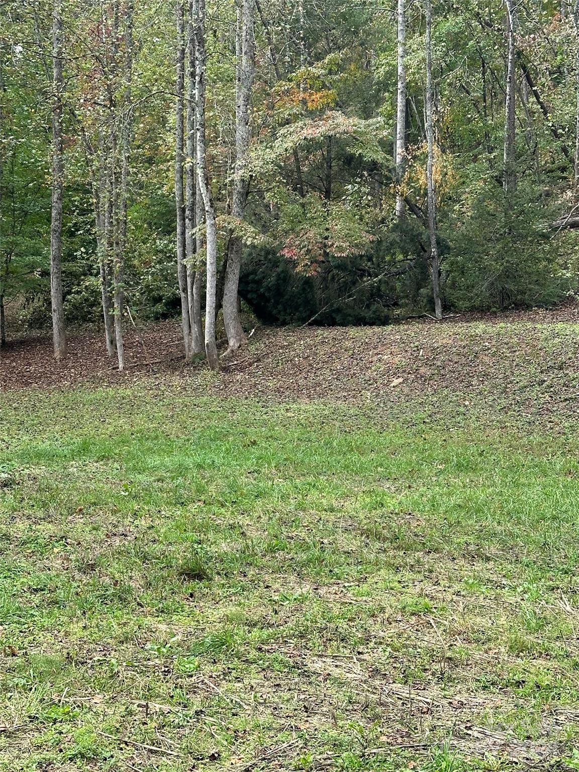 Old Fort NC 28762