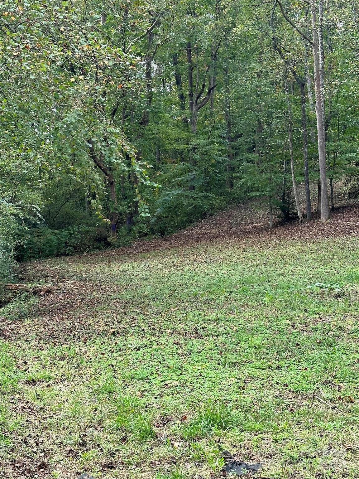 Old Fort NC 28762