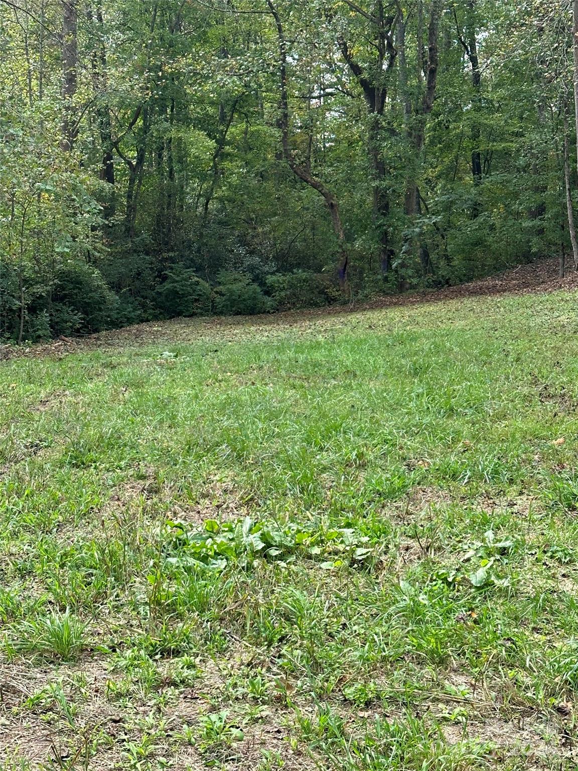 Old Fort NC 28762