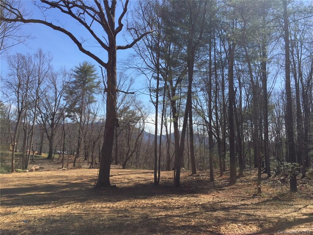 10 Towering Oaks Lane Asheville NC 28805