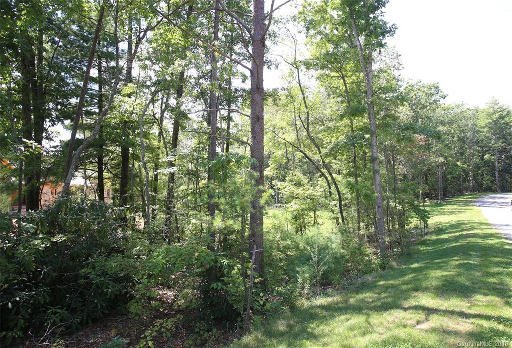 10 Towering Oaks Lane Asheville NC 28805