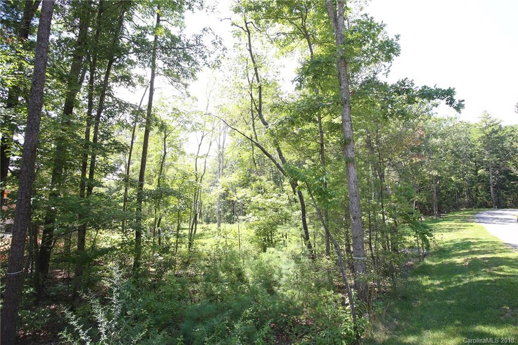 10 Towering Oaks Lane Asheville NC 28805