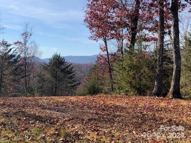 30 Mountain Parkway Mill Spring NC 28756