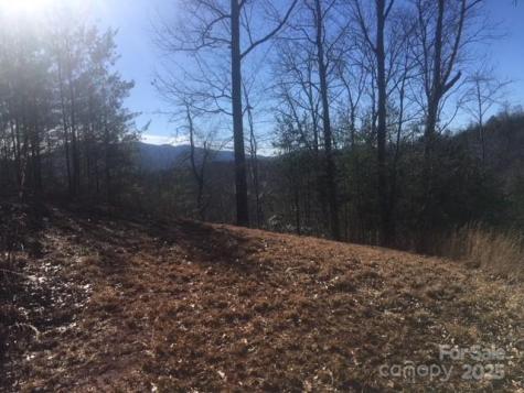 30 Mountain Parkway Mill Spring NC 28756