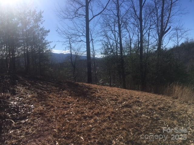 30 Mountain Parkway Mill Spring NC 28756