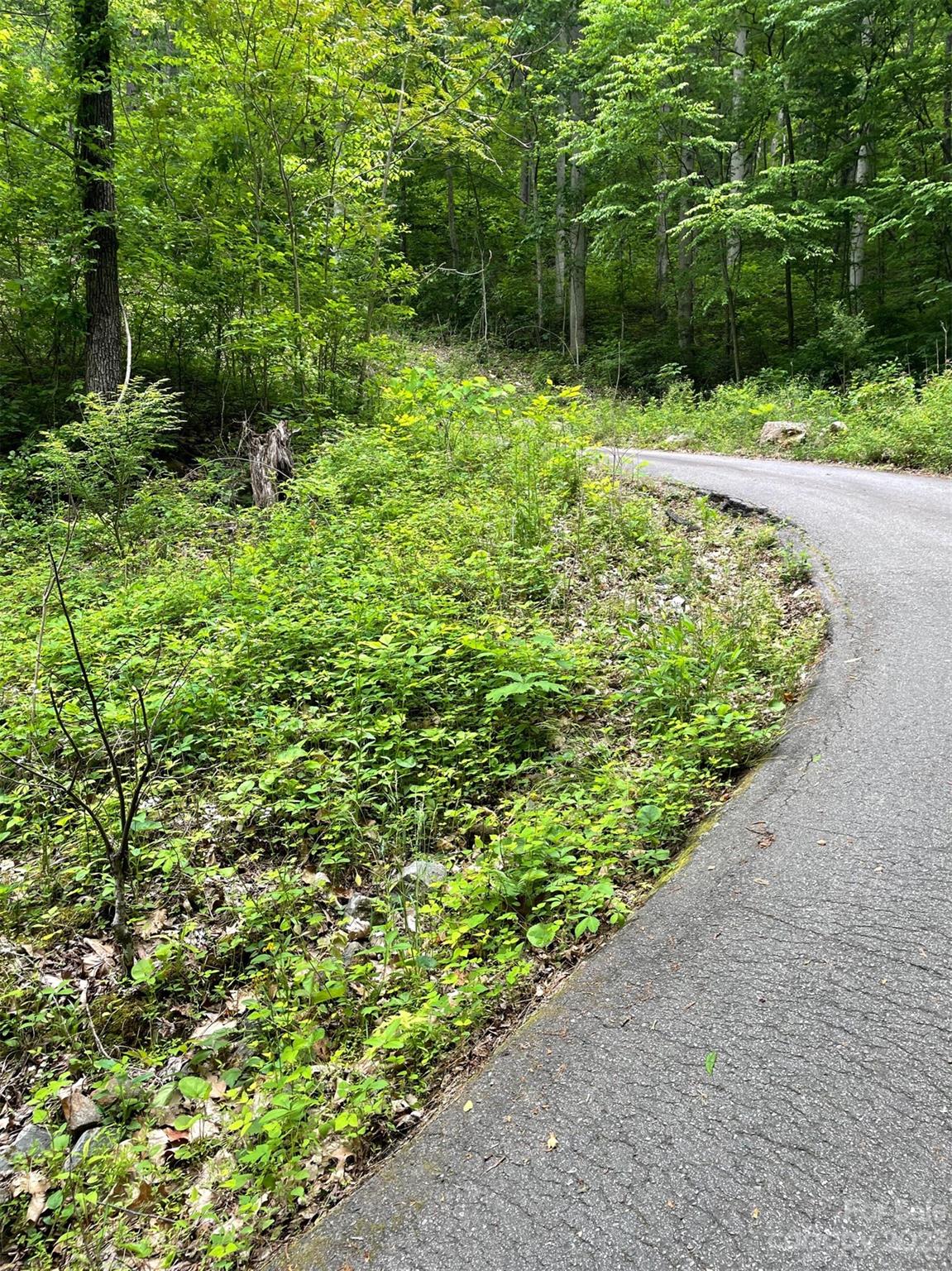 9999 Wilson Cove Road Swannanoa NC 28778