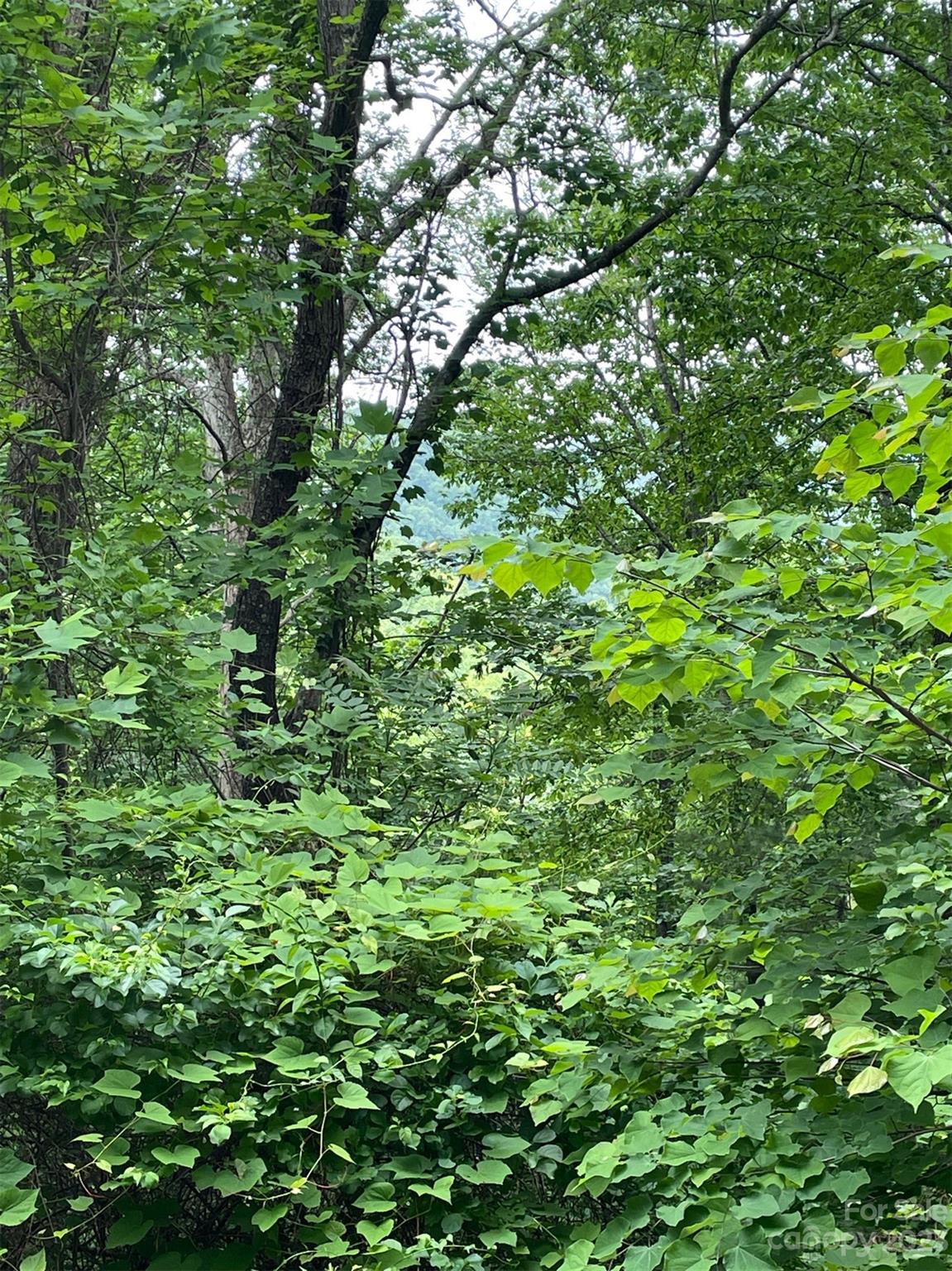 9999 Wilson Cove Road Swannanoa NC 28778