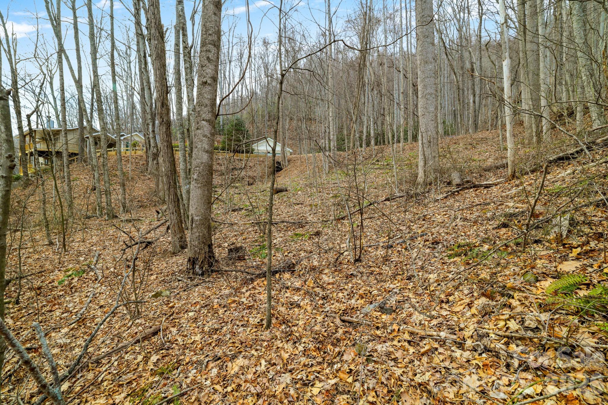 00 Sleepy Hollow Drive Maggie Valley NC 28751