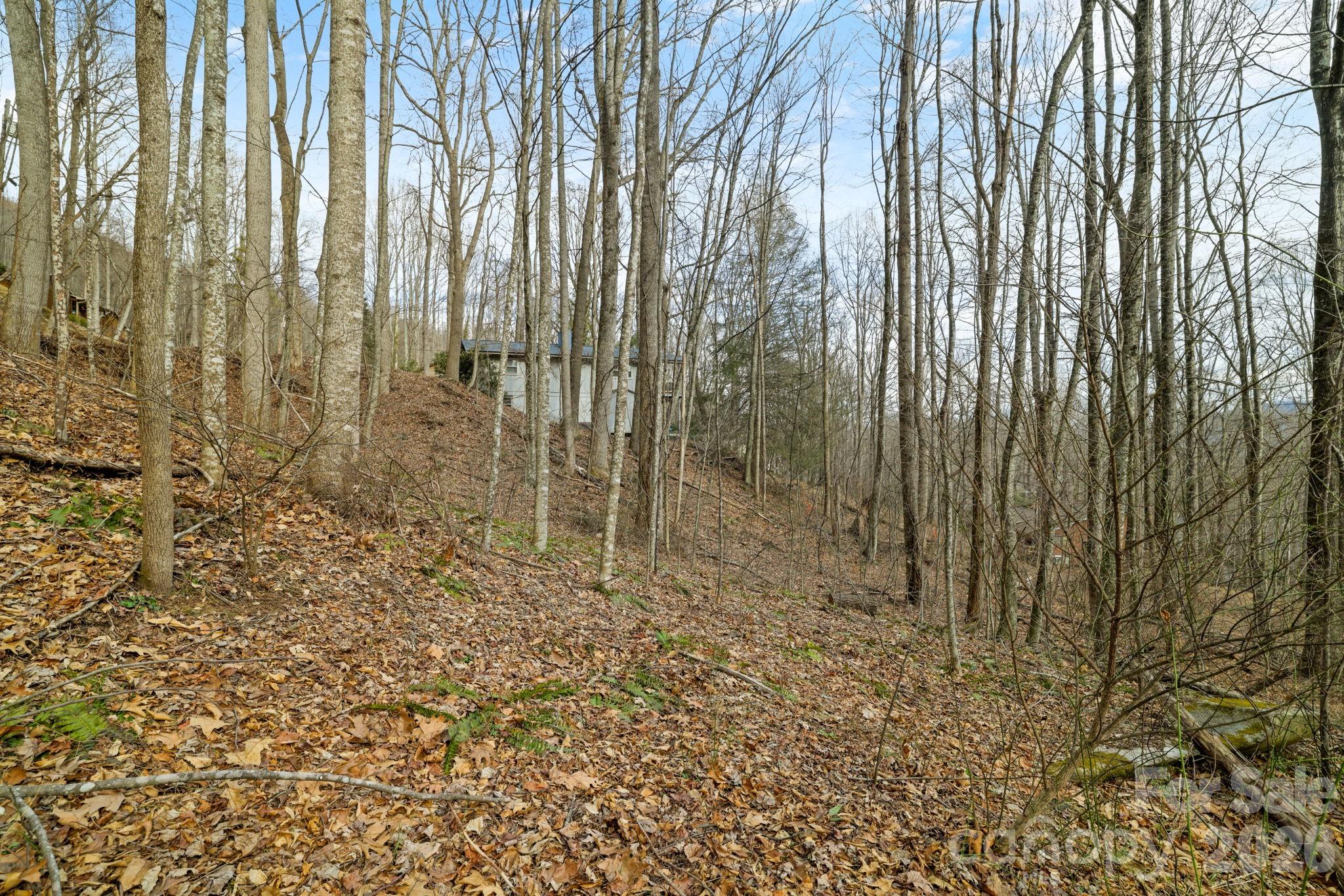 00 Sleepy Hollow Drive Maggie Valley NC 28751
