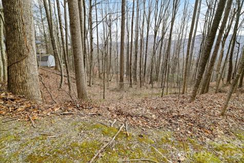 00 Sleepy Hollow Drive Maggie Valley NC 28751