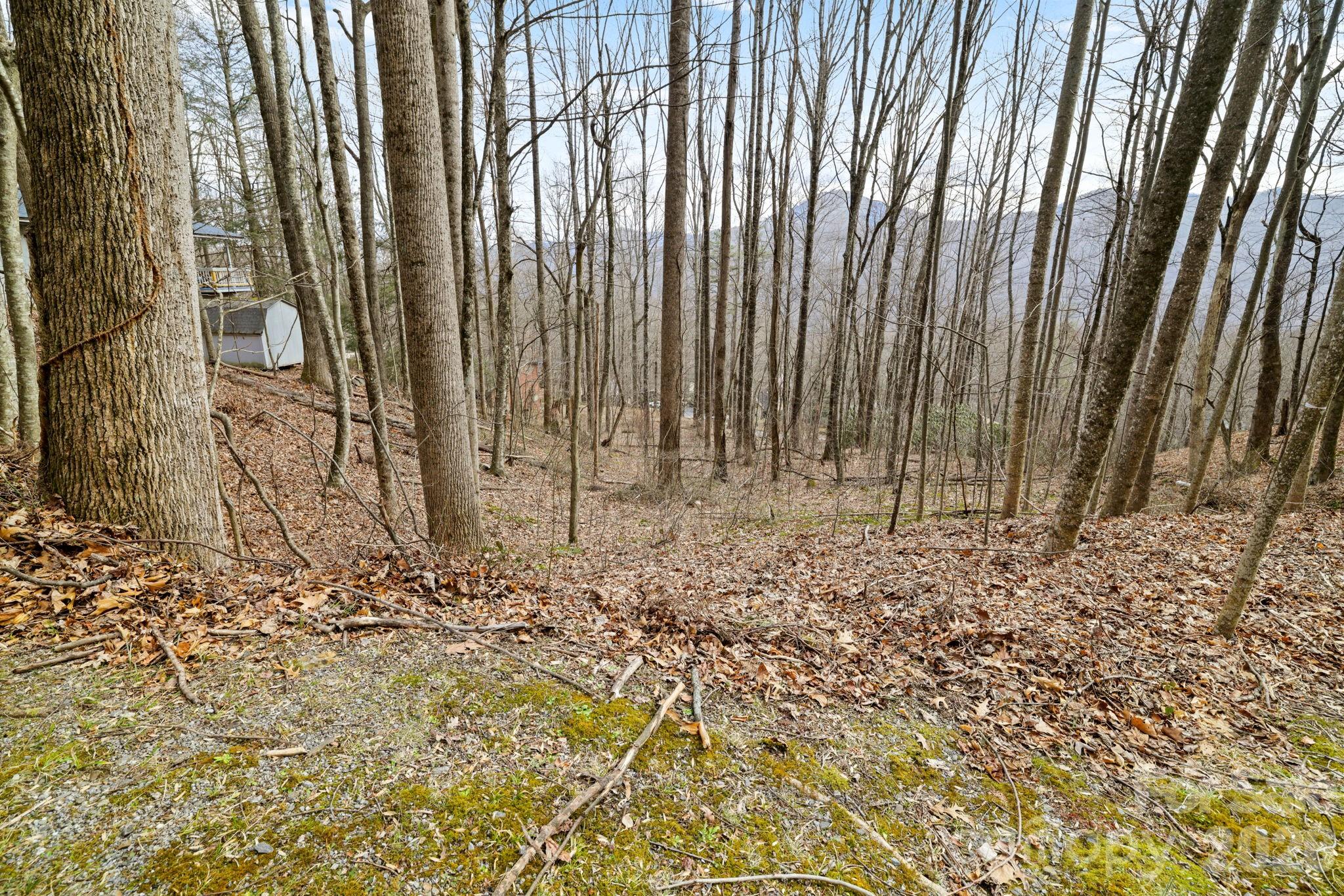 00 Sleepy Hollow Drive Maggie Valley NC 28751
